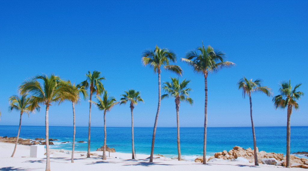 White sand beach in Los Cabos.