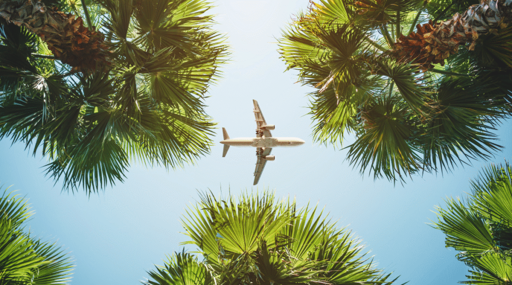 Flight to Tulum
